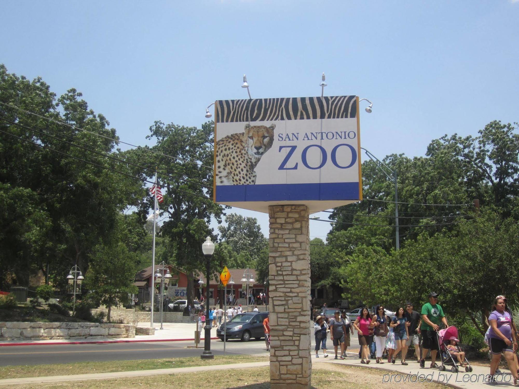 Best Western Plus Hill Country Suites - San Antonio Esterno foto